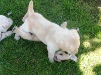 /album/fotos-recentes-/fotos-081-jpg/